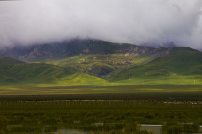 ɽ���µ�����