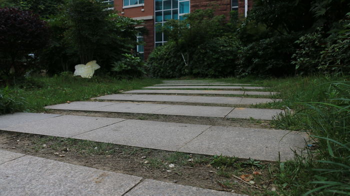 ʯ�����е�