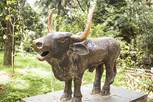 ���ֵ���