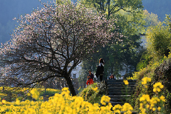 �����µ��ο�