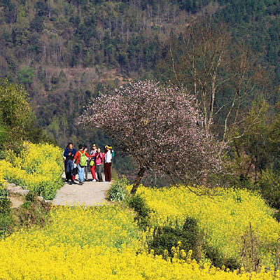 �����º�Ӱ