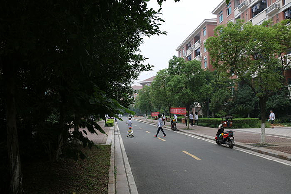 ѧУ�����·