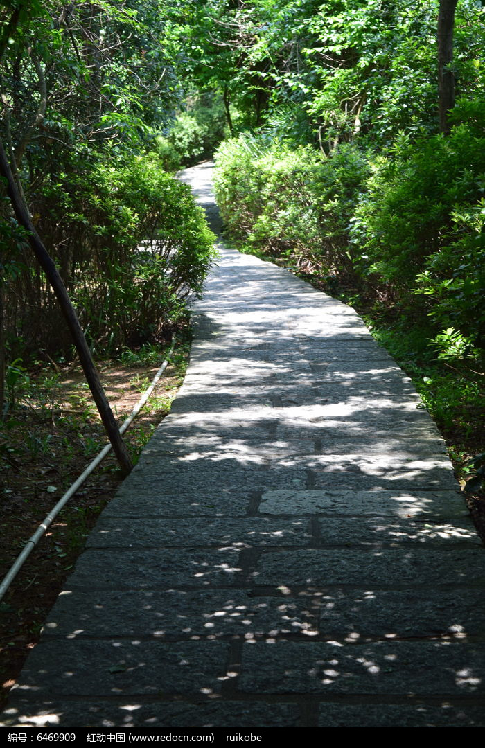 乡间羊肠小道图片图片