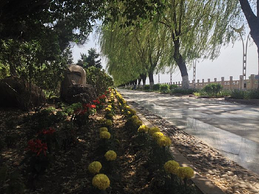 ��������