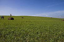 ��ԭ������