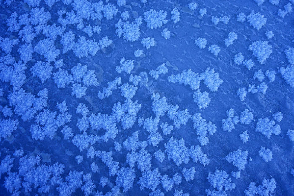 ����˪��