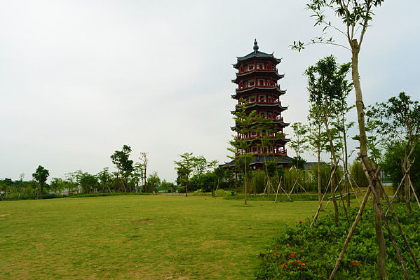 ��ƺ�ϵı���