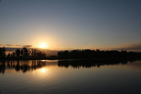 ������Ӱ