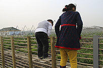 ��Խ���С���