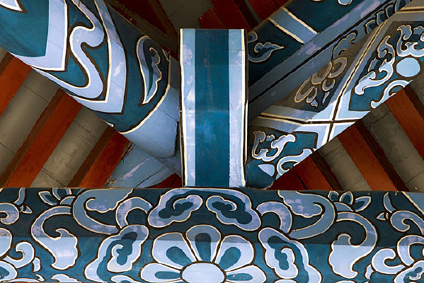 ���ϲʻ�  ��������������