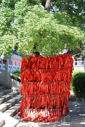 ���������е���Ը��