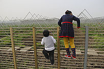 ������ʵĽ���