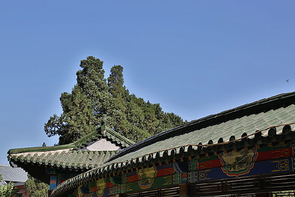 �˴�ټ�԰�⾰