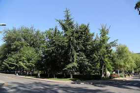 �����ѧĵ��԰У԰�־�