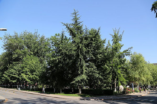 �����ѧĵ��԰У԰�־�