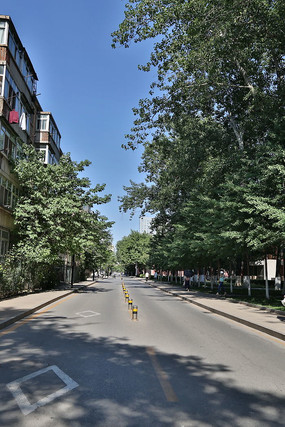 �����ѧУ԰��·�־�