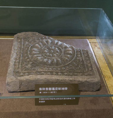 �������������Ƶ�ש