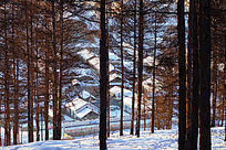 ɽ���µ�ɽ���˼�