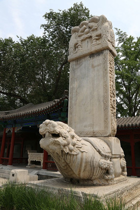 �����µ�ʯ������P���б�