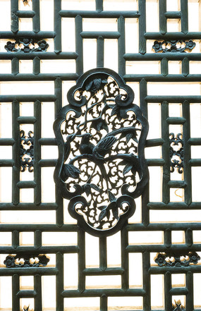 ϲȵ�οմ���