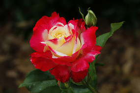 ��о����¼���