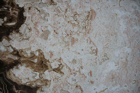 ��ש����