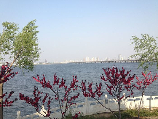 ����԰�ֳ���