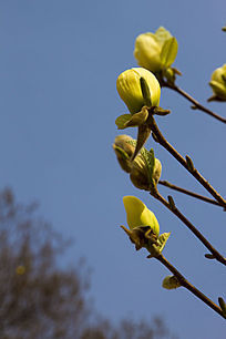 �ƻ�����