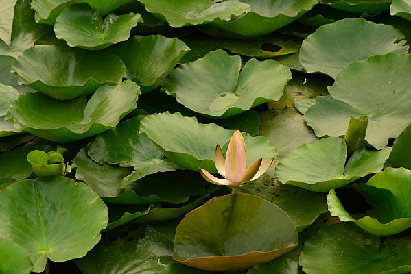 �����һ��˯��