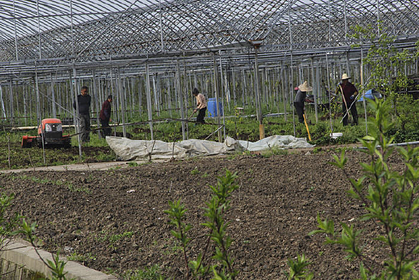 ũҵ԰������ũ��