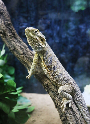 ���ж�������