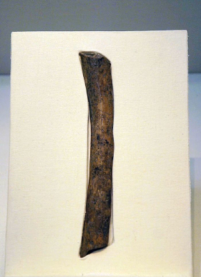 ����������ʱ�� ��ʳ�̴�ţ��