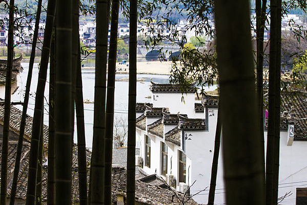 ͸�����ֵĻҰ׽���