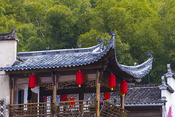 �����µĺ����