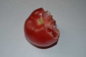 ���۵�������