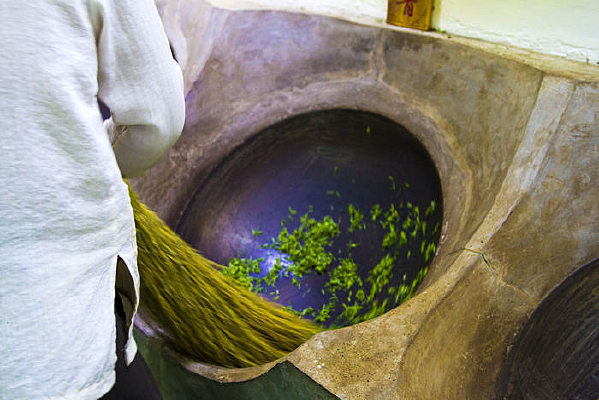 ���԰ѳ��Ʋ�Ҷ