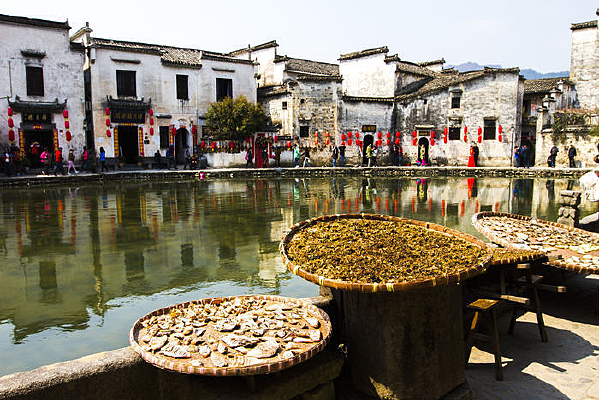 ������ɹ���