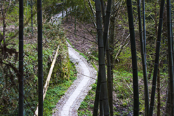 ����������С·