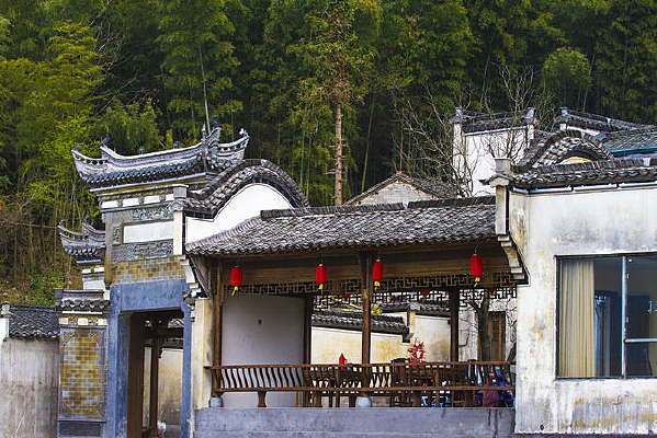 �����µ�ͥԺ