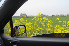 �����˻�