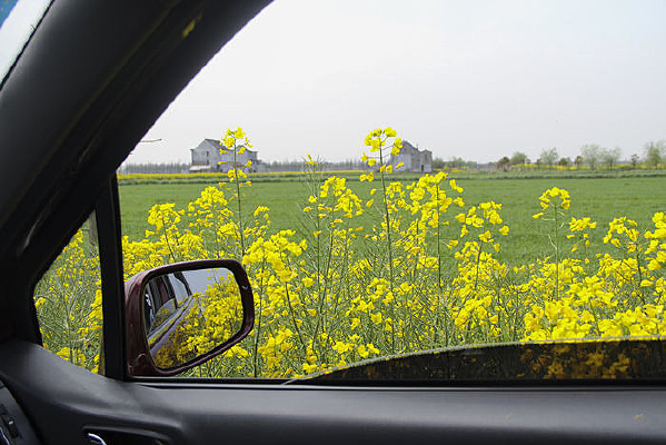 �����˻�