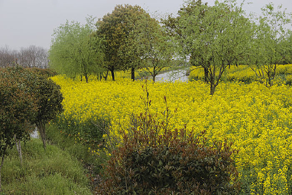 ��Ұ��԰�˻�