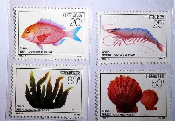 ������ֳ