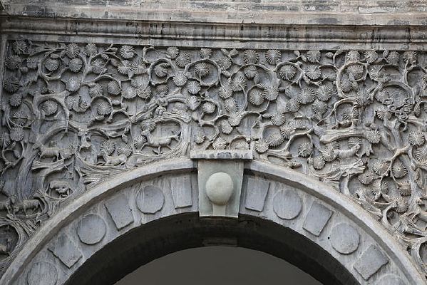 ��֦���ܶ���ͼ������