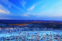 �ֺ�ѩԭ����