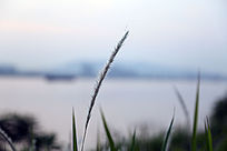 ����Զ��