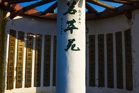 ���������԰