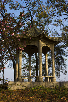 �����ӣ������ͤ