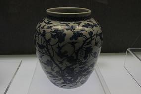 �໨�ɺ��ƹ�