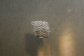 ������С����Ƭ